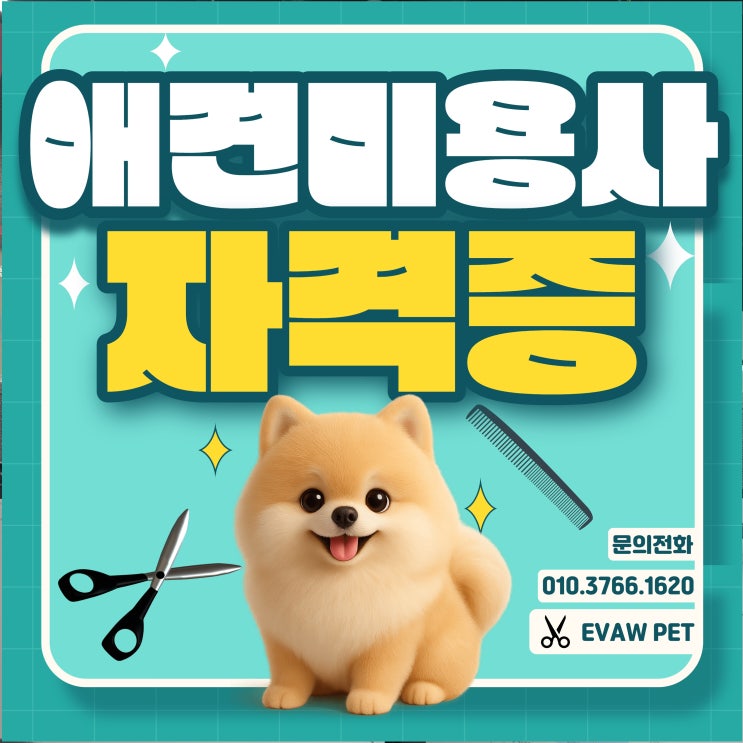  애견미용사 자격증 종류 — 전망·급수별 차이·취업 준비 가이드