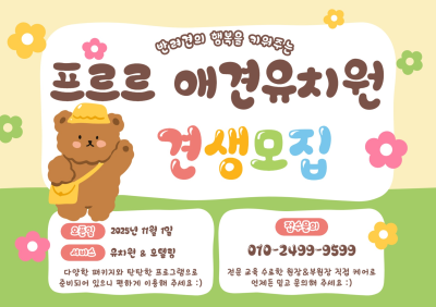 사진 3