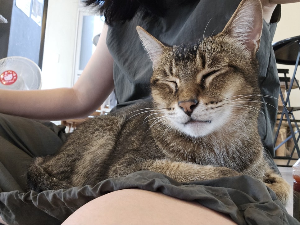 별이랑놀자 사진 4