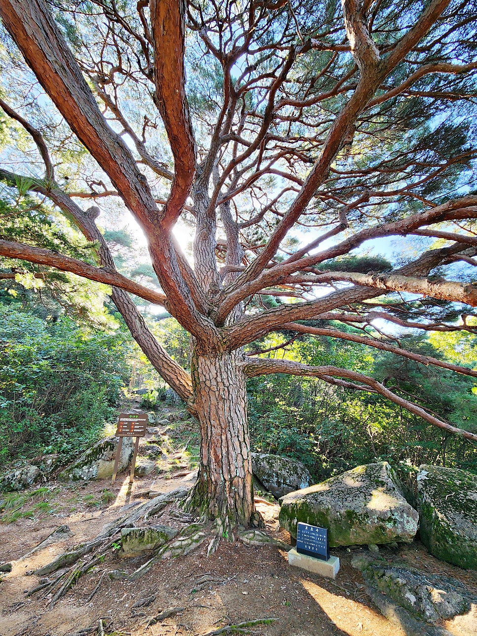 세진대 사진 1