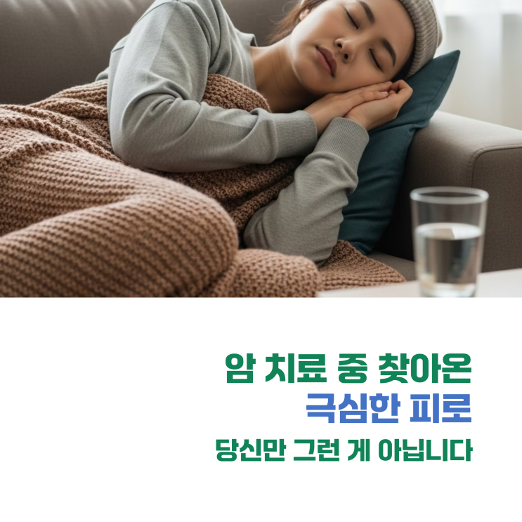  자도 자도 피곤한 '암성 피로', 이기는 방법은 따로 있습니다 (항암 피로 관리 팁)