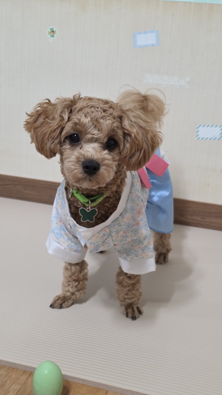  추석연휴: "지나갈게."