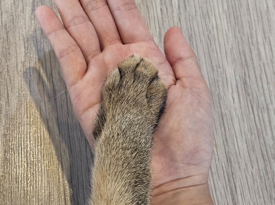별이랑놀자 사진 5
