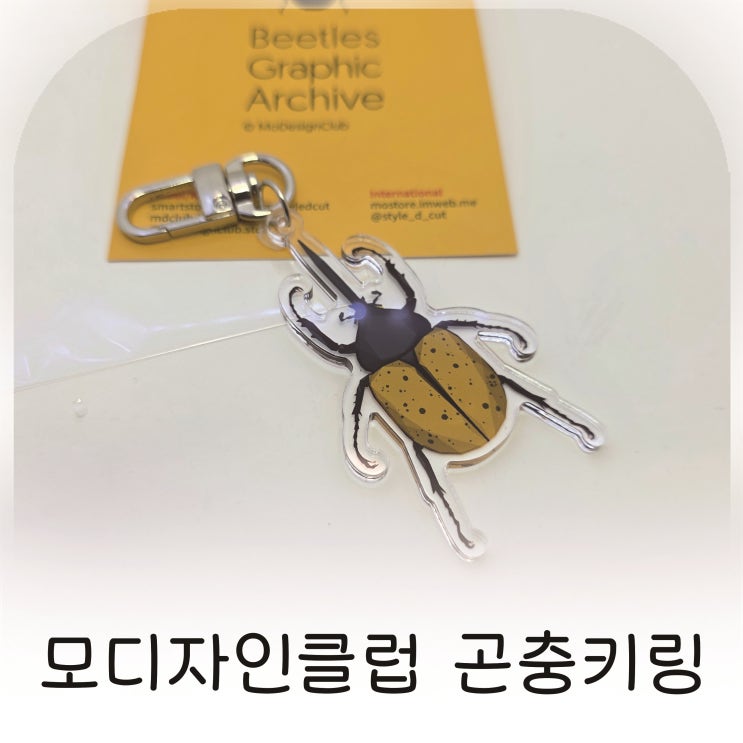  곤충 좋아하는 아이에게 선물한 헤라클레스 키링 추천