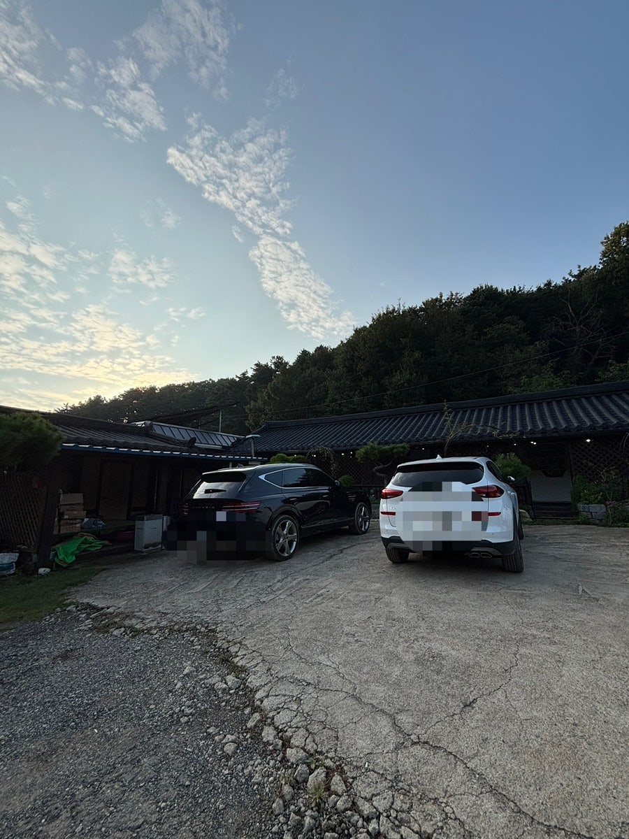 산속의토종닭 사진 2