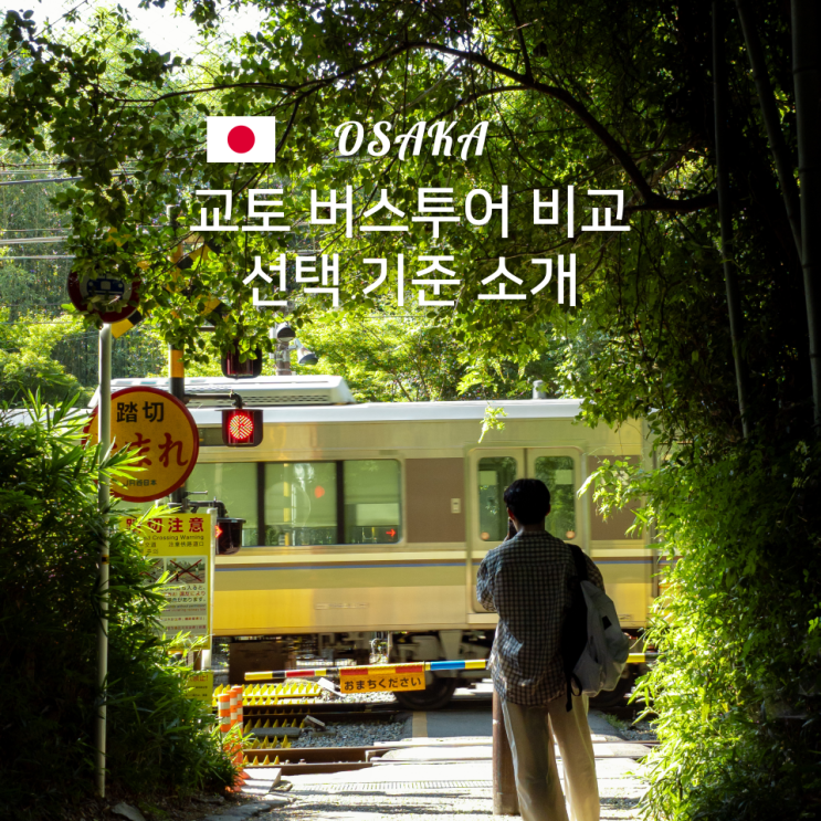  교토 버스투어 당일치기 오사카 출발 루트 비교와 선택 기준 정리