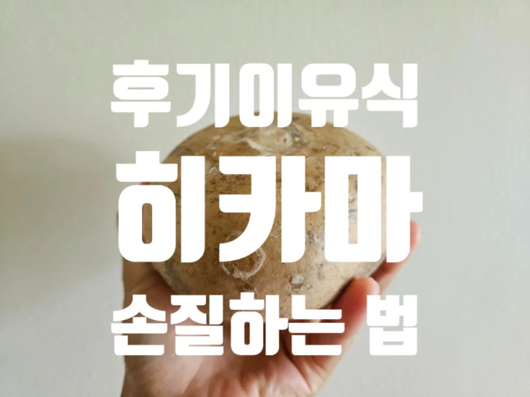  [Rana이유식] 후기이유식 야채: [히카마] 손질법