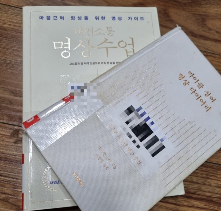  [엮어읽기] 내면소통 명상 수업, 마이클 싱어 명상 다이어리 [1060번째 리뷰]