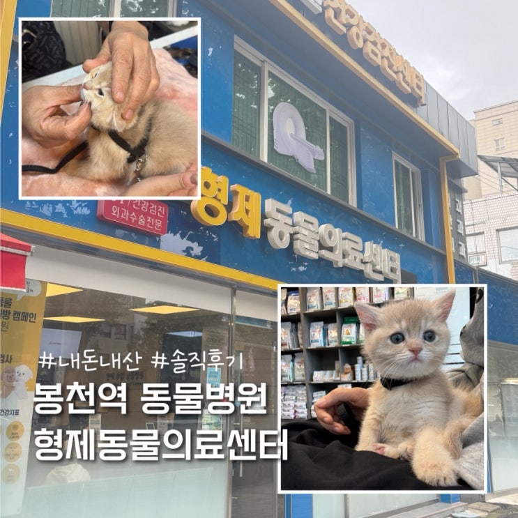  관악구 봉천 서울대 동물병원 형제동물의료센터 내돈내산 솔직후기