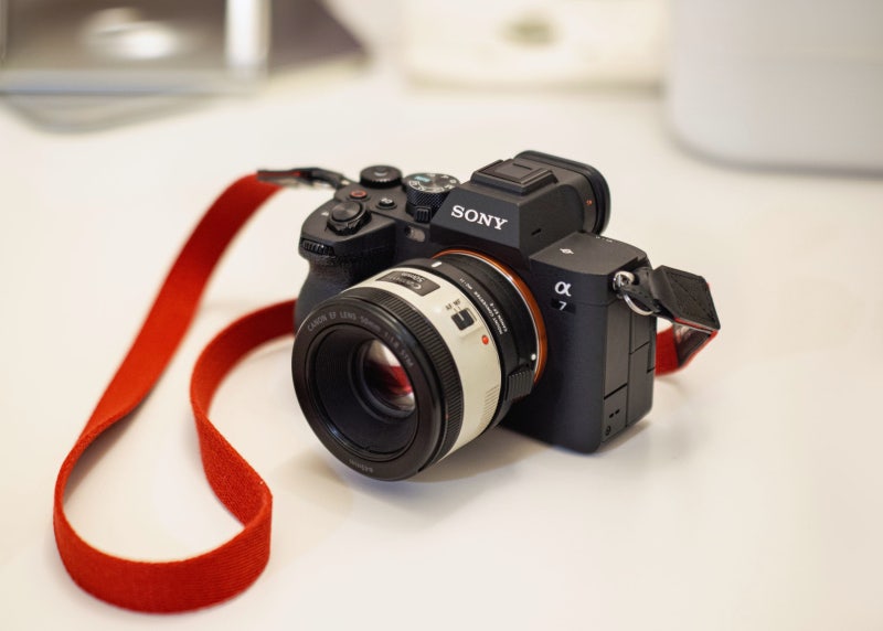 SONY A7M4와 Canon EF 50mm f/1.8 조합
