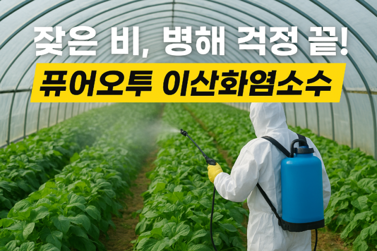   잦은 비로 인한 농작물 병해, 퓨어오투 이산화염소수로 해결하세요!