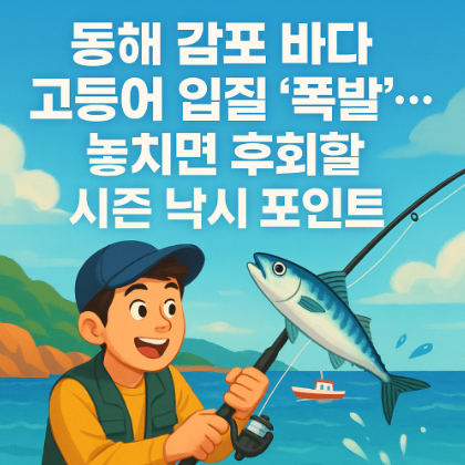  동해 감포 바다, 고등어 입질 ‘폭발’… 놓치면 후회할 시즌 낚시 포인트