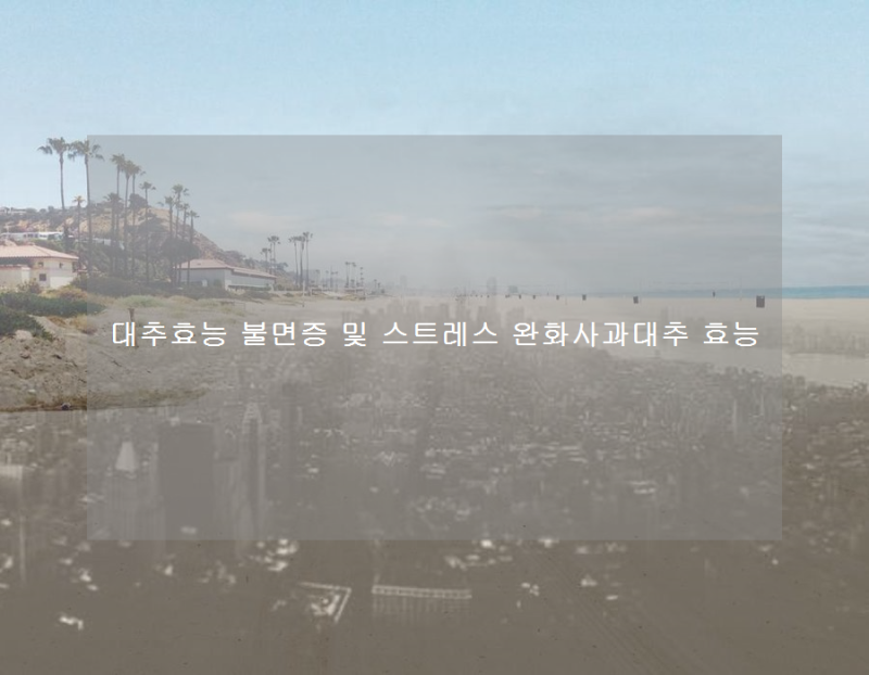 대추효능 불면증 및 스트레스 완화사과대추 효능
