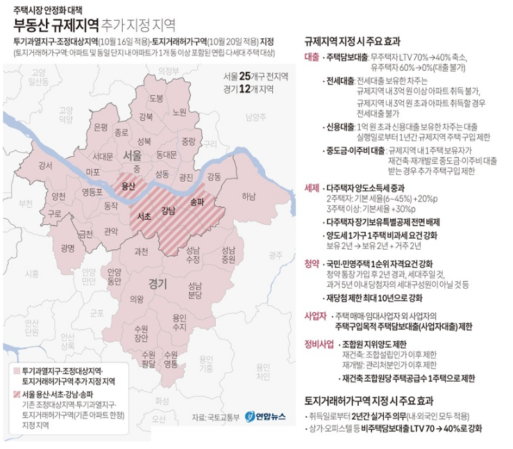 서울 전역·경기 12곳 투기과열지구·토지거래허가구역 지정