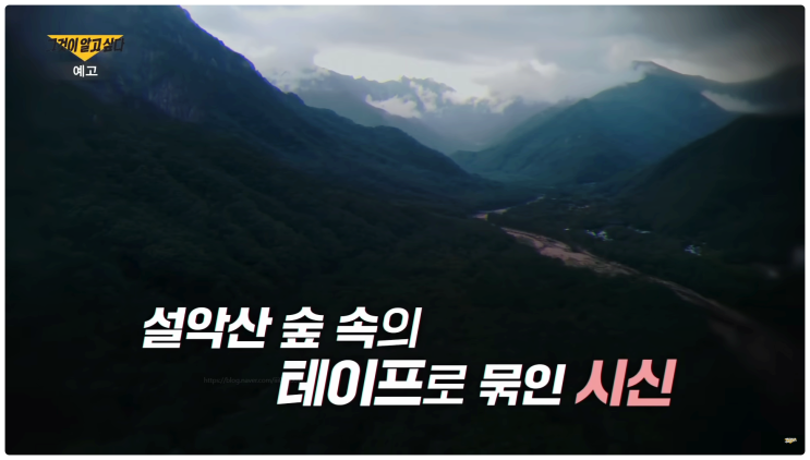  그것이알고싶다 1463회 설악산 테이프 살인 미스터리 동업자 촉탁살인 캄보디아 범죄조직?