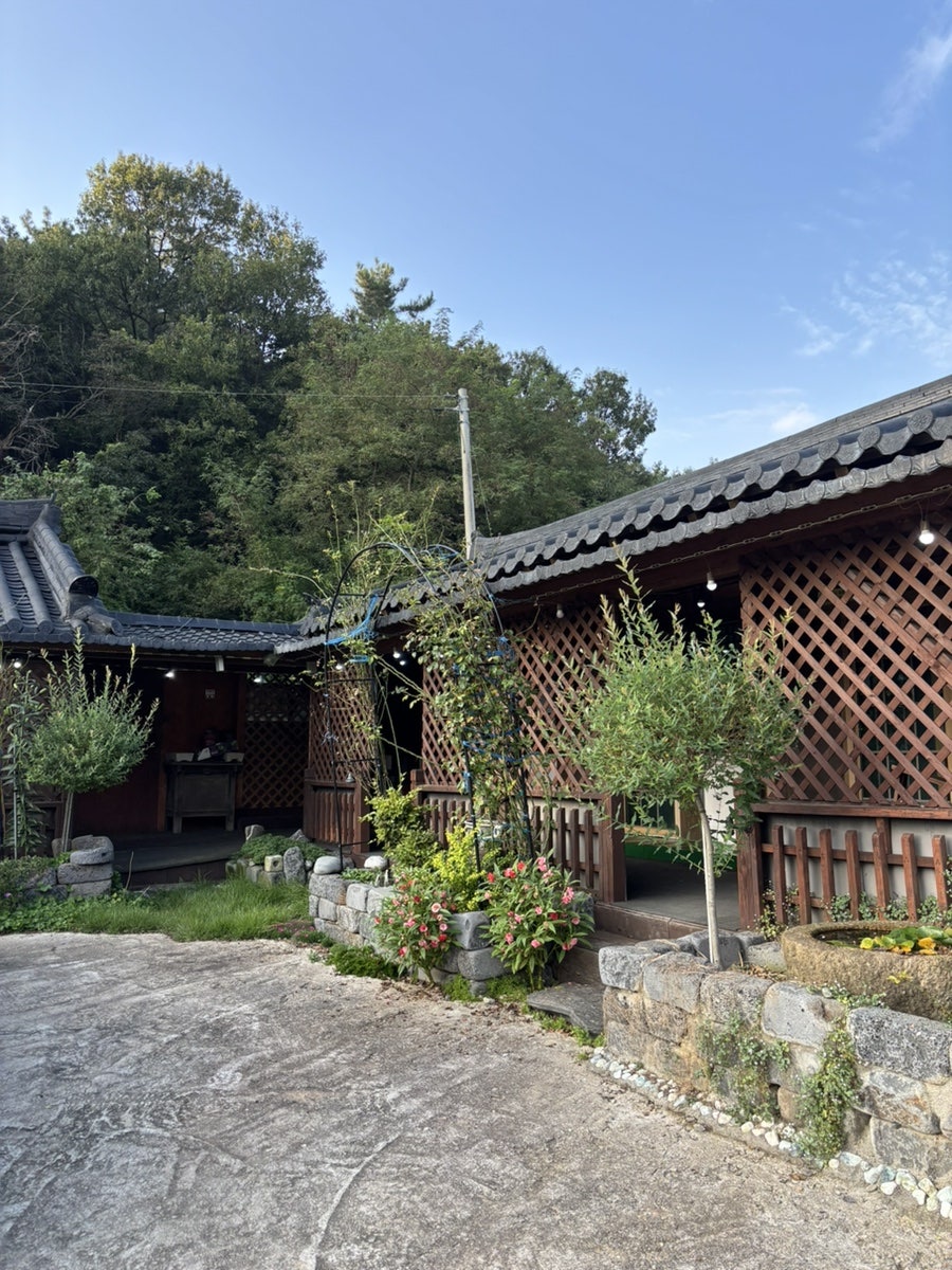 산속의토종닭 사진 1