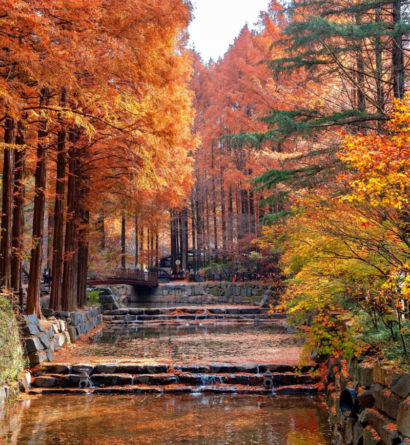 사진 10