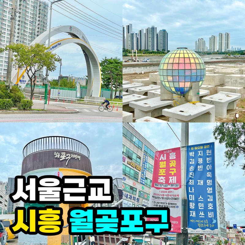 사진 5