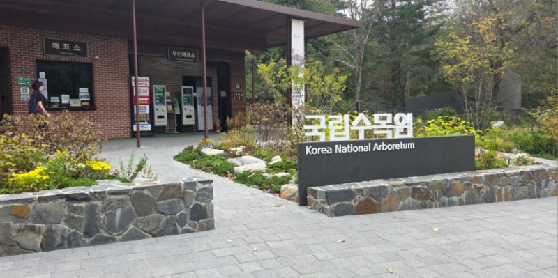 “10월 광릉수목원 단풍현황 | 아직은 초록빛, 절정은 언제쯤일까?”
