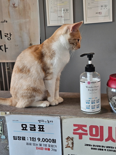 별이랑놀자 사진 2