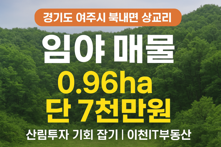  여주시 북내면 상교리 임야 매물! 0.96ha 급매 7천만원으로 산림 투자 찬스