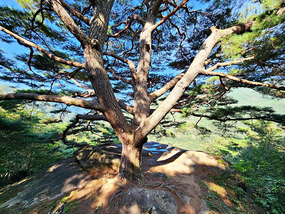 세진대 사진 6