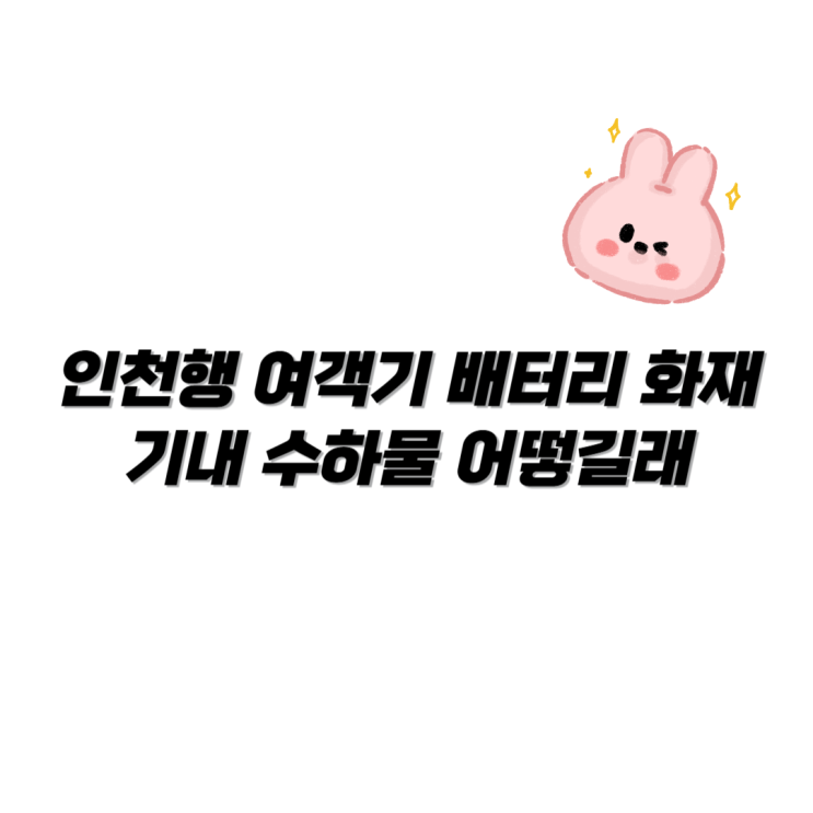 인천행 <b>여객기 배터리 화재</b> 기내 수하물 어떻길래
