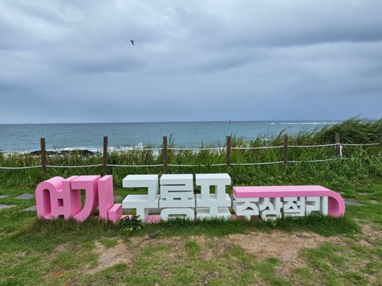 [블챌] 동해안 7번국도 여행 계획/ <b>포항 보릿돌교</b>, 구룡포... 