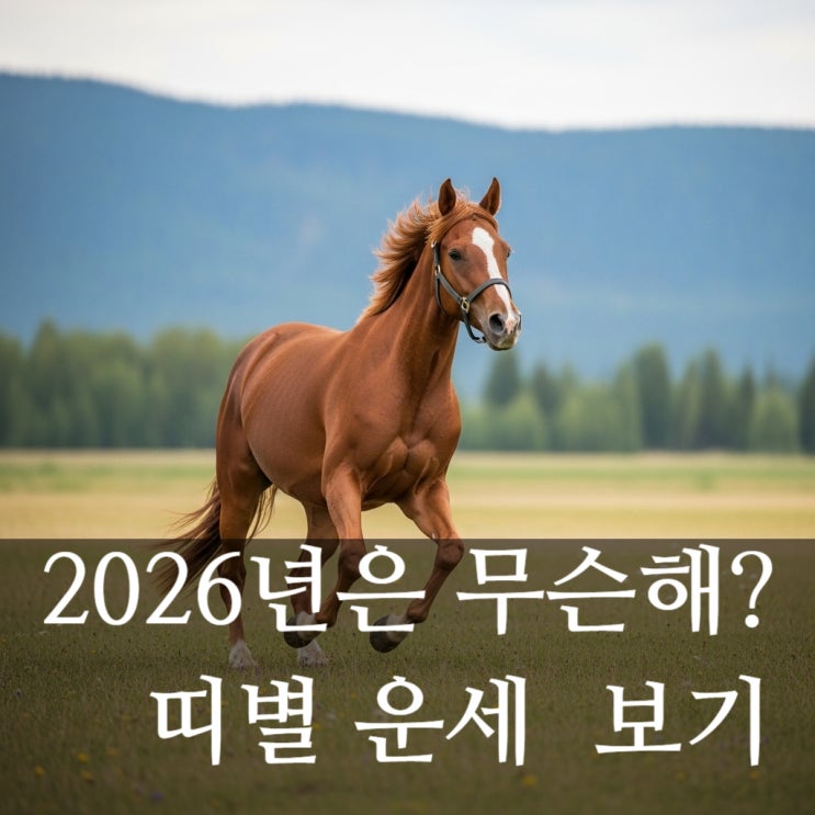  2026년 무슨해?, 병오년 붉은말의해 띠별 운세 재미로 보기