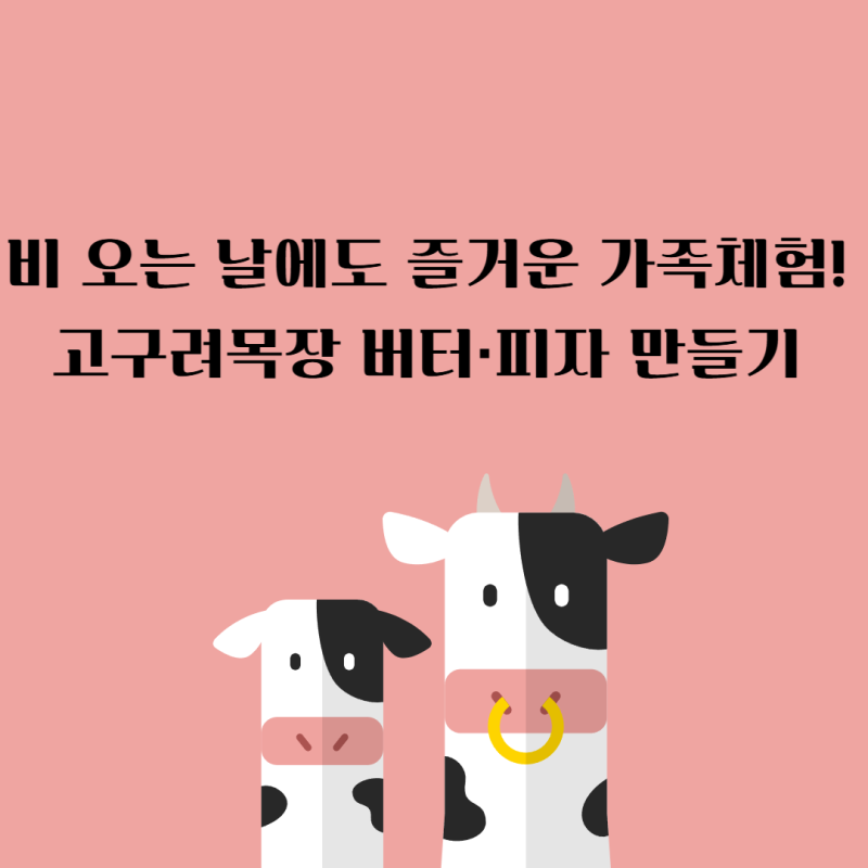 [가족체험] 비 오는 날에도 즐거웠던 파주 고구려목장 버터·피자 만들기