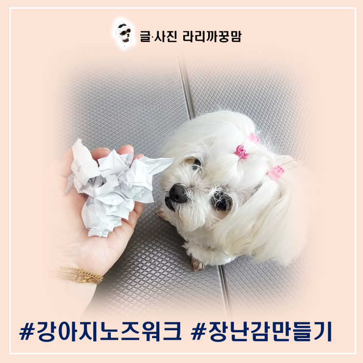  꿍이의 생수컵 노즈워크 놀이, 비 오는 날 집콕 시간 활용법
