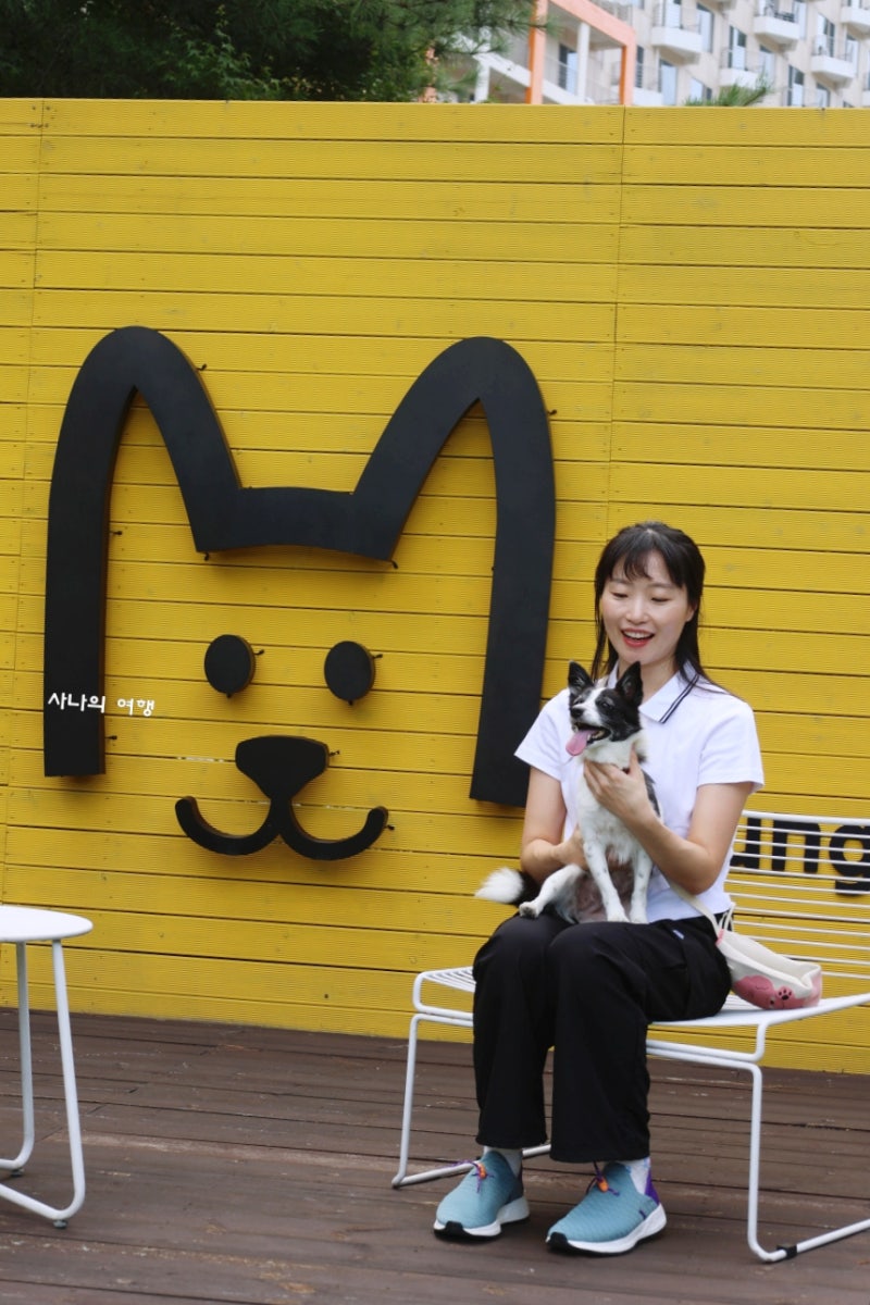 사진 5