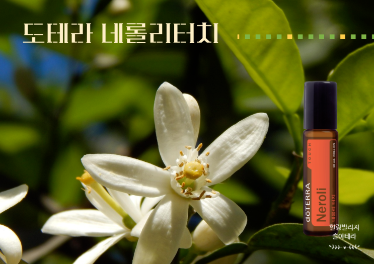  [도테라 10월 특별 할인] 피부, 갱년기, 스트레스, 정서불안에 좋은 도테라 네롤리 터치 10% 할인된 가격으로 만나보세요~