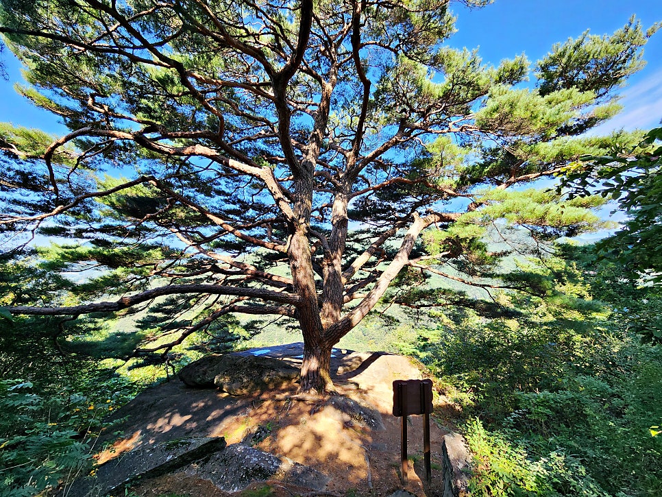 세진대 사진 5