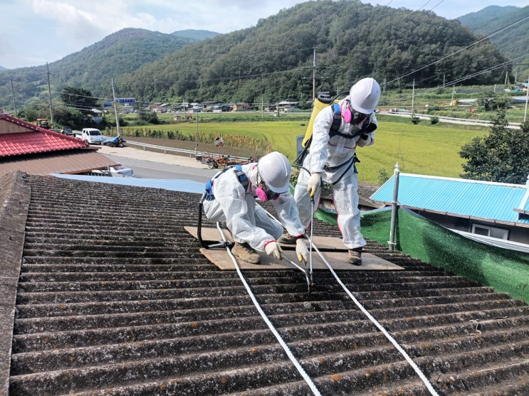  영천석면철거 텍스철거 슬레이트 석면 해체제거