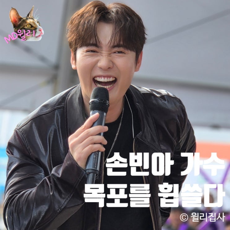  남도국제미식산업박람회 초대가수 손빈아 목포 방문 (feat. 홍지호, 정들레)