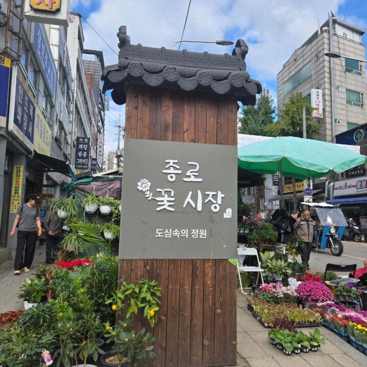  종로 꽃시장 방문후기