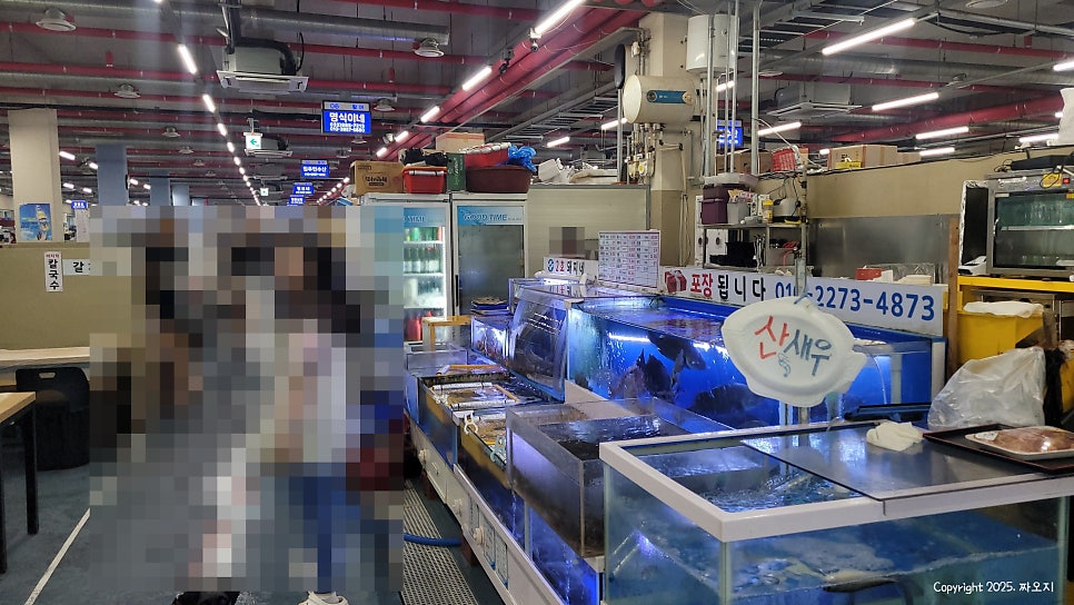 공주네 사진 4