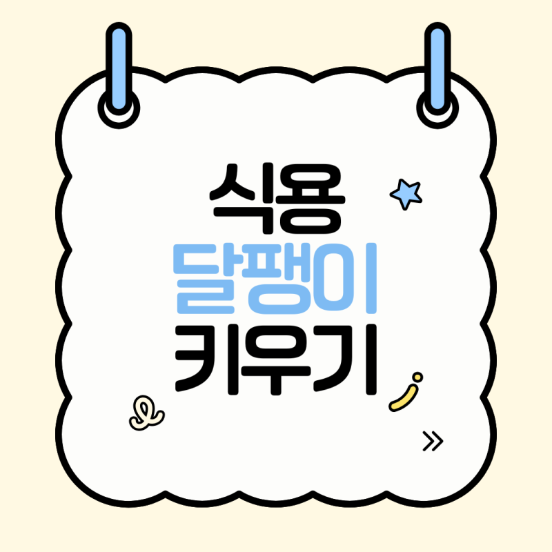 식용달팽이 키우기 완벽 가이드