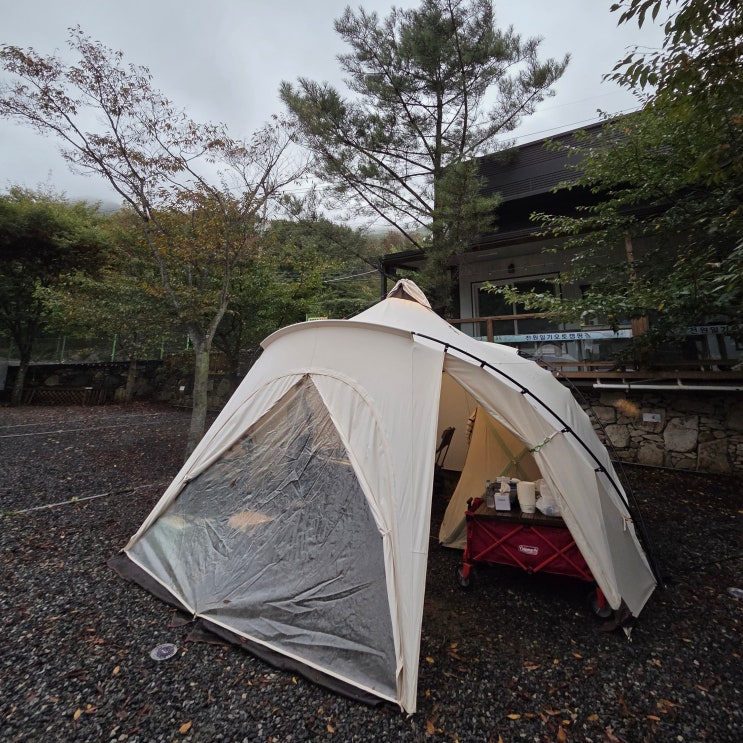  경북 포항 근교 아이랑 가기 좋은 '경주 전원일기 캠핑장' 예약 방법, 계곡 및 수영장, 사이트 정보 총정리