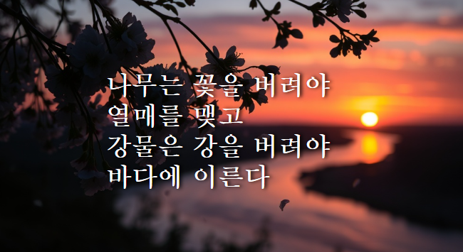  나무는 꽃을 버려야 열매를 맺고 강물은 강을 버려야 바다에 이른다.