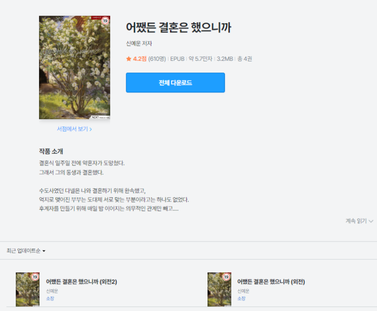  어쨌든 결혼은 했으니까 | 집착과 구원의 이야기
