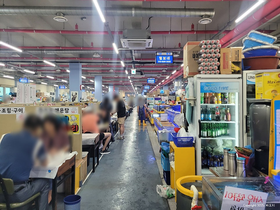 공주네 사진 5