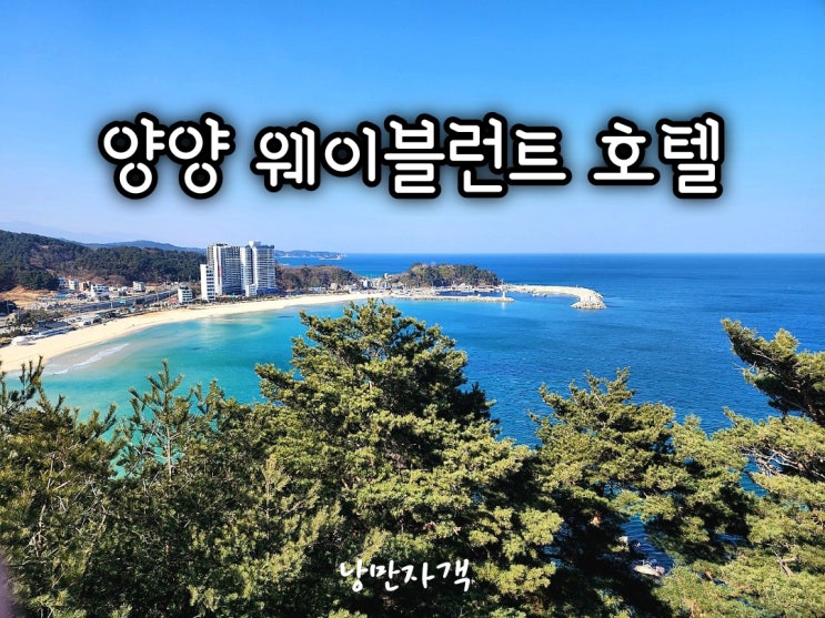  양양 웨이블런트 호텔 가성비 양양숙소 후기-예약·주차·체크인 총정리
