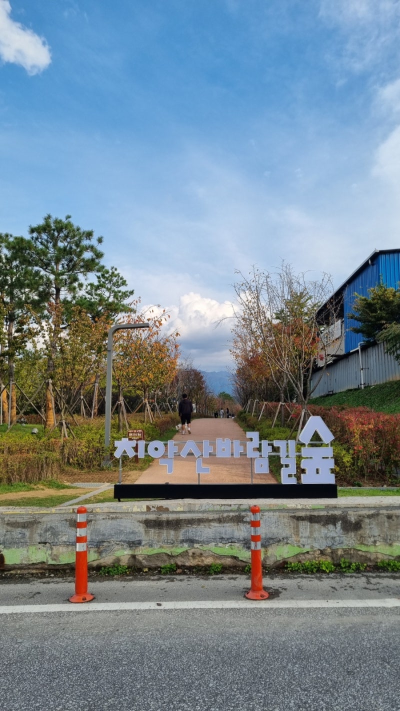 원주가볼만한곳 치악산 바람길숲 원주 산책로 추천 위치 주차
