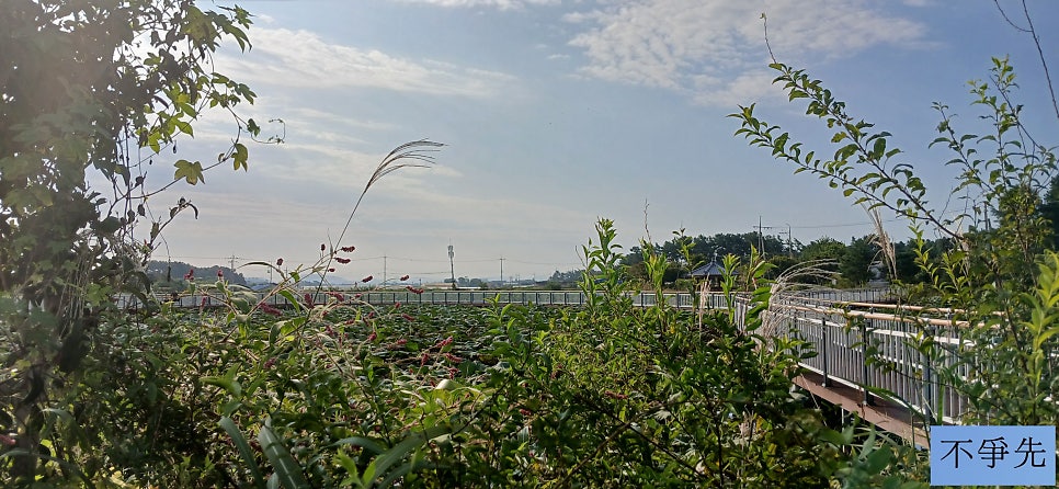 호제 사진 5