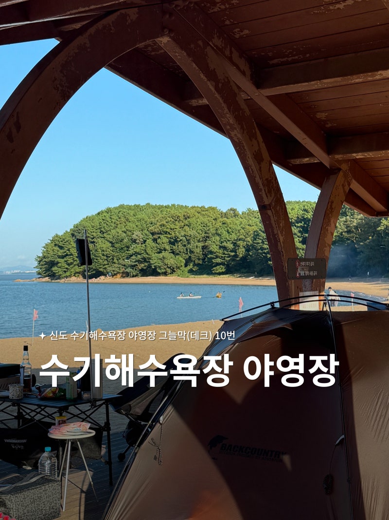 사진 4