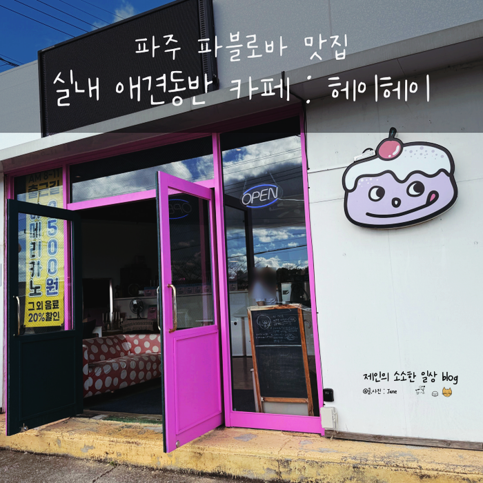 사진 5