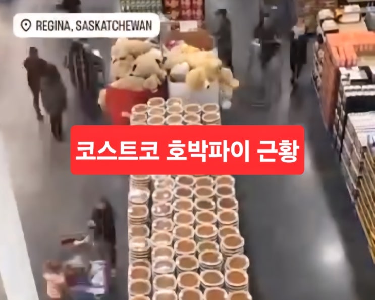  코스트코 호박파이 근황