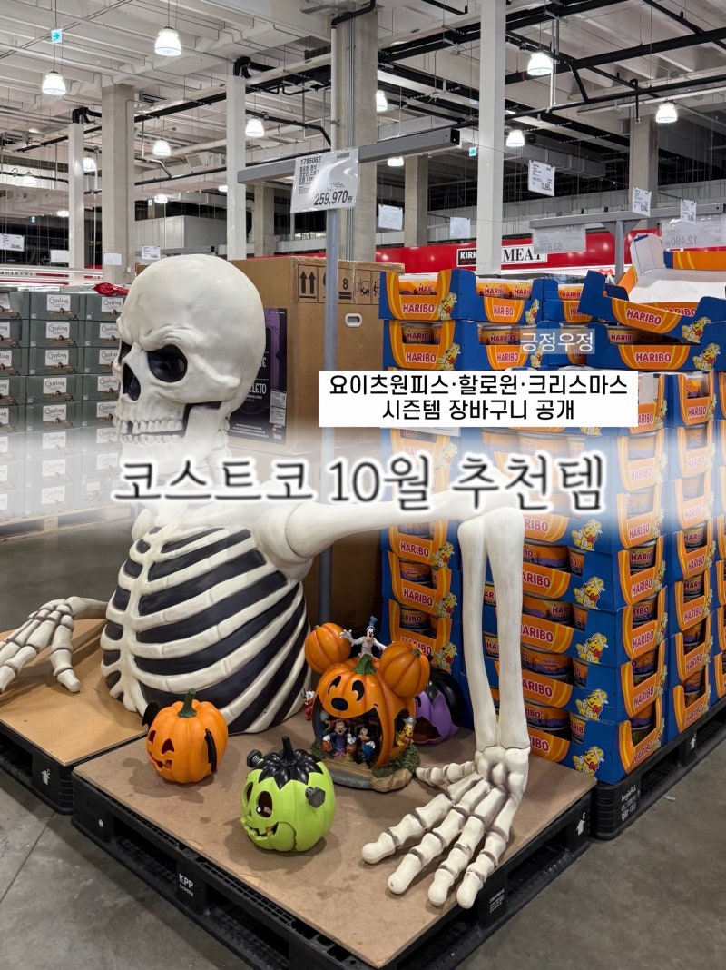 코스트코 10월 추천템 | 요이츠원피스·할로윈·크리스마스 시즌템 장바구니 공개